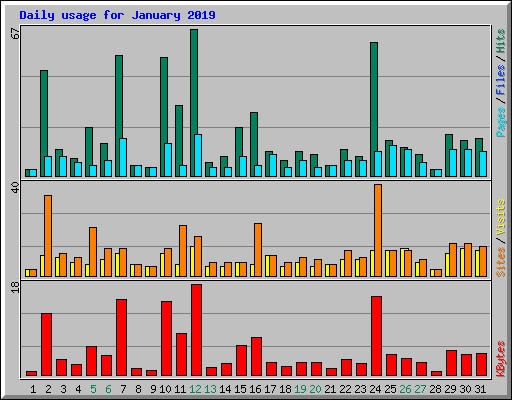 Daily usage for January 2019