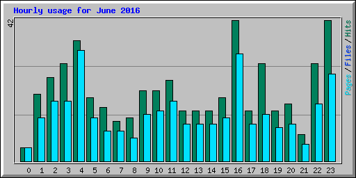 Hourly usage for June 2016