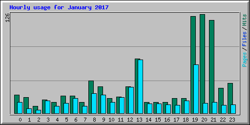 Hourly usage for January 2017